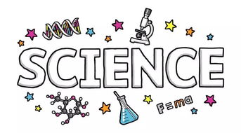 爱上科学课的理由 香港WA科学课程与嘀嗒趣课的奇妙结合